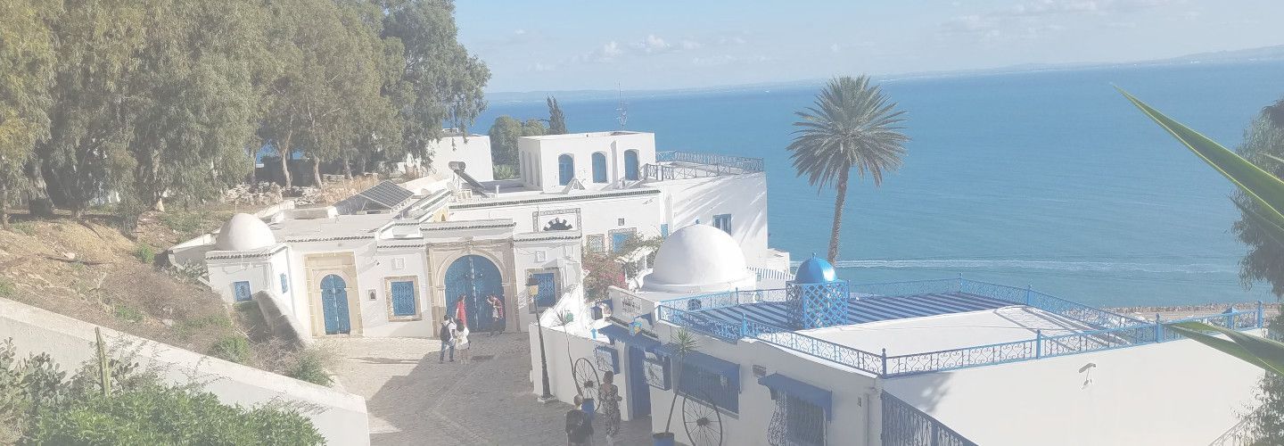 private jet to Tunis